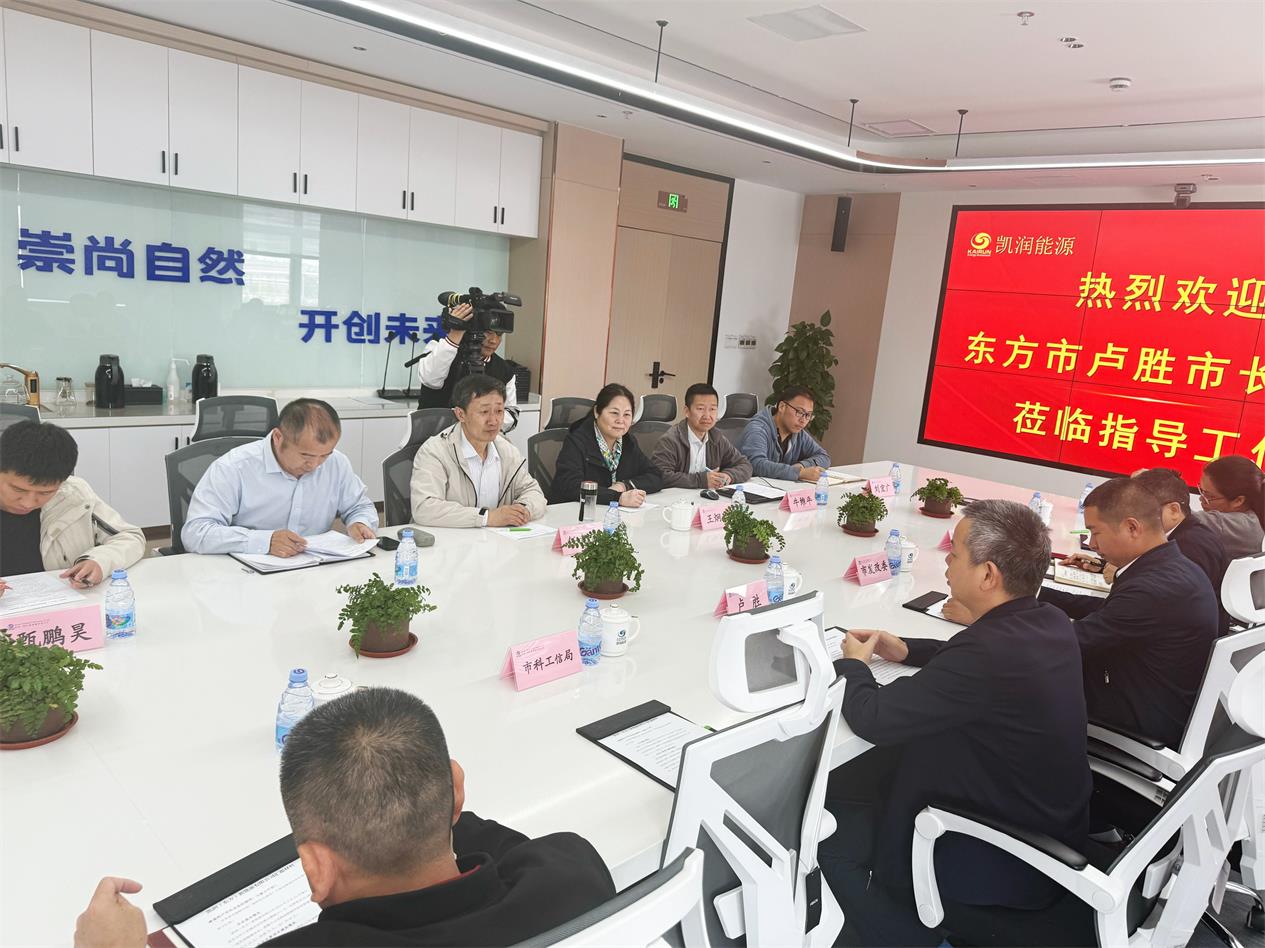 东方市卢胜市长莅临凯润（东方）新能源有限公司召开座谈会